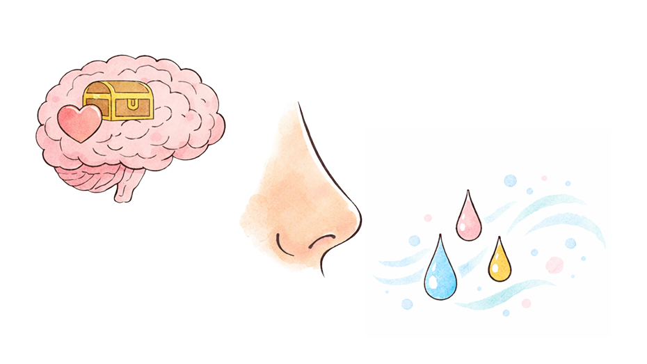 “嗅覚の仕組み”