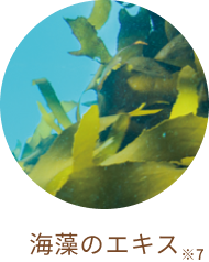 海藻のエキス※7
