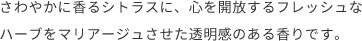 さわやかに⾹るシトラスに、⼼を開放するフレッシュなハーブをマリアージュさせた透明感のある⾹りです。