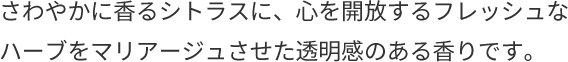 さわやかに⾹るシトラスに、⼼を開放するフレッシュなハーブをマリアージュさせた透明感のある⾹りです。