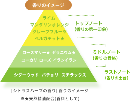 香りのイメージ    トップノート（香りの第一印象）  ライム  マンダリンオレンジ グレープフルーツ ベルガモット★   ミドルノート（香りの骨格）  ローズマリー★  ゼラニウム★ ユーカリ  ローズ  イランイラン   ラストノート（香りの土台）  シダーウッド   パチョリ   スチラックス  [シトラスハーブの香り] 香りのイメージ ※★天然精油配合(香料として)