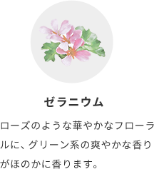 ゼラニウム  ローズのような華やかなフローラルに、グリーン系の爽やかな香りがほのかに香ります。