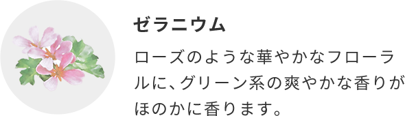 ゼラニウム  ローズのような華やかなフローラルに、グリーン系の爽やかな香りがほのかに香ります。