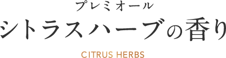 大人気の⾹りが期間限定で再登場！  プレミオール シトラスハーブの⾹り  CITRUS HERBS