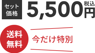 セット価格5,500円税込  送料無料 今だけ特別