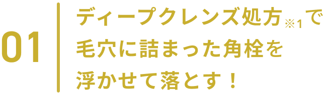 01  ディープクレンズ処方※1で毛穴に詰まった角栓を浮かせて落とす！