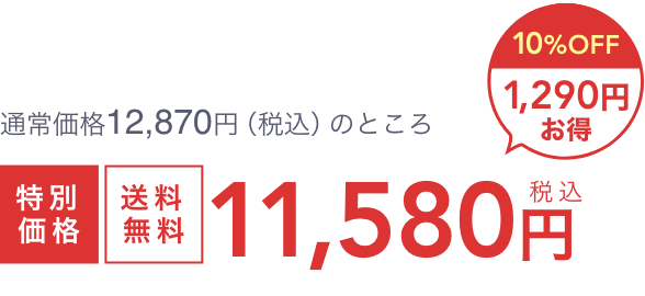 通常価格12,870円（税込）のところ  特別価格  送料無料  税込11,580円  10%OFF 1,290円お得