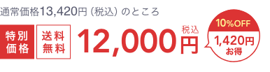 通常価格13,420円（税込）のところ  特別価格  送料無料  税込12,000円  10%OFF 1,420円お得