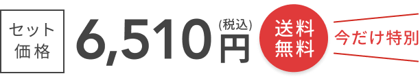 セット価格 6,510円(税込) 送料無料 今だけ特別