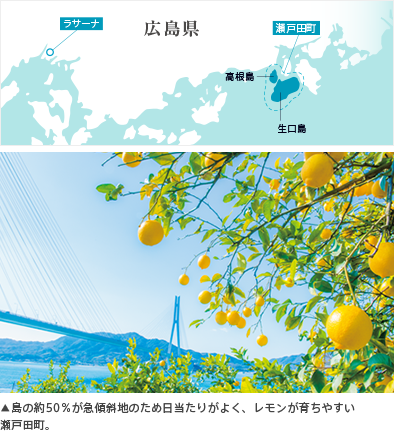 ▲島の約50％が急傾斜地のため日当たりがよく、レモンが育ちやすい瀬戸田町。 