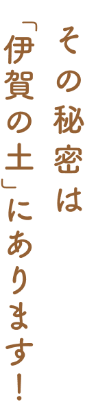 その秘密は「伊賀の土」にあります！
