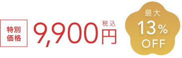 特別価格 9,900円税込  最大13%OFF