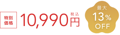 特別価格 10,990円税込  最大13%OFF