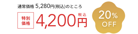 通常価格 5,280円(税込)のところ  特別価格 4,200円税込  最大20%OFF  送料無料