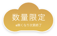 数量限定  ※無くなり次第終了