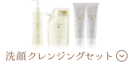 洗顔クレンジングセット