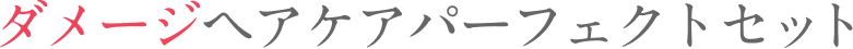ダメージヘアケアパーフェクトセット