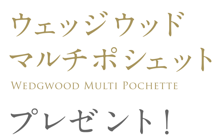 ウェッジウッド マルチポシェット  Wedgwood Multi Pochette  プレゼント！