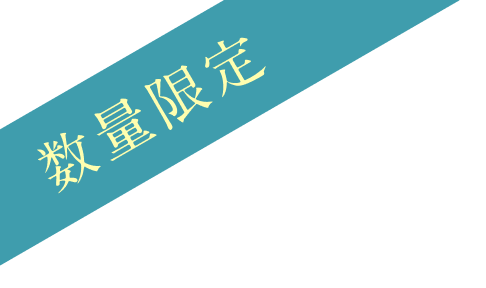 数量限定