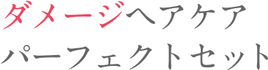 ダメージヘアケアパーフェクトセット