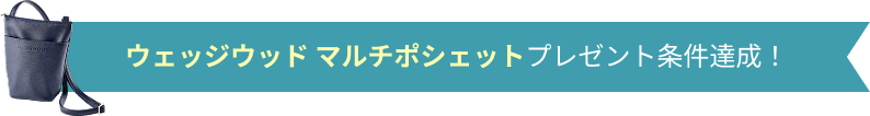 ウェッジウッド マルチポシェットプレゼント条件達成！