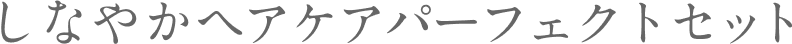しなやかヘアケアパーフェクトセット