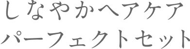 しなやかヘアケアパーフェクトセット