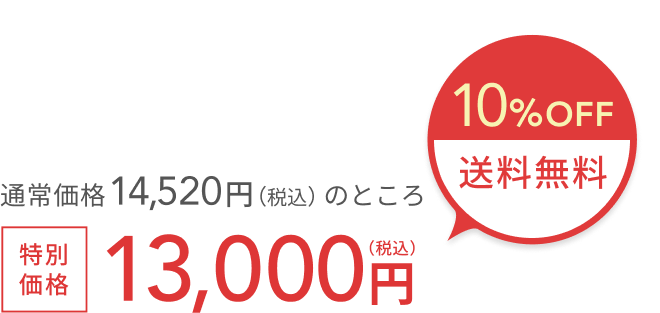 通常価格 14,520円（税込）のところ 10%OFF + 送料無料  特別価格13,000円（税込）