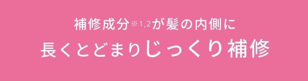 補修成分※1,2が髪の内側に長くとどまりじっくり補修