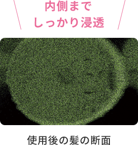 内側までしっかり浸透  使用後の髪の断面