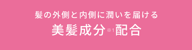 髪の外側と内側に潤いを届ける美髪成分※1配合