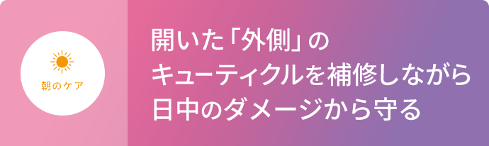 朝のケア  開いた「外側」のキューティクルを補修しながら⽇中のダメージから守る