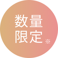 数量限定※