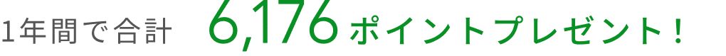 1年間で合計4,476ポイントプレゼント!