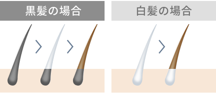 黒髪の場合 白髪の場合