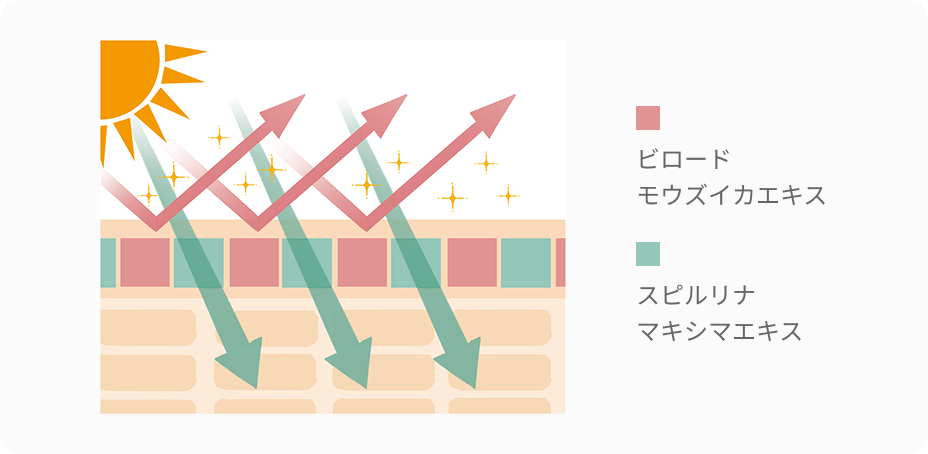 ビロード モウズイカエキス スピルリナ マキシマエキス
