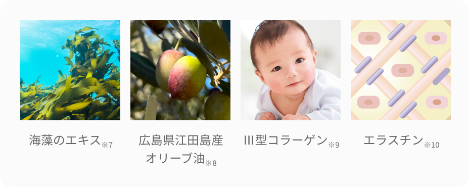 海藻のエキス※7 広島県江田島産 オリーブ油※8 Ⅲ型コラーゲン※9 エラスチン※10