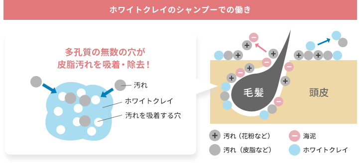 海藻 海泥 シャンプー ラサーナ公式通販サイト