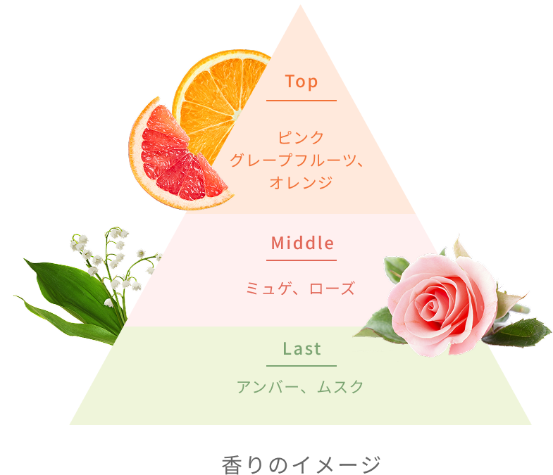 Top  ピンクグレープフルーツ、オレンジ  Middle  ミュゲ、ローズ  Last  アンバー、ムスク  香りのイメージ