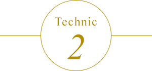 Technic 2