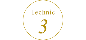 Technic 3