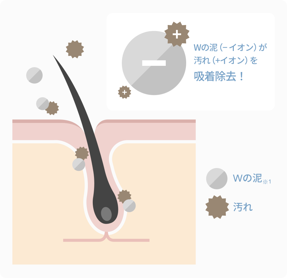 Wの泥（− イオン）が汚れ（+イオン）を吸着除去！  Wの泥※1  汚れ
