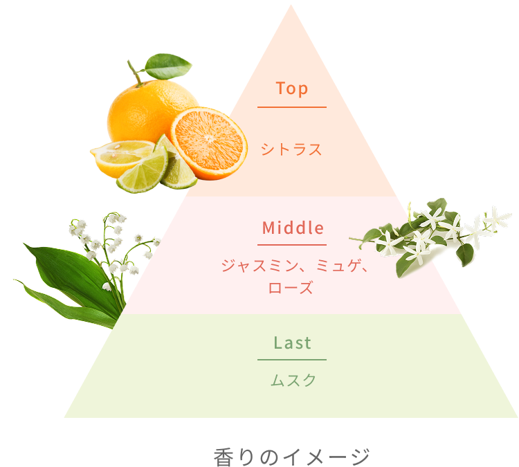 Top  シトラス  Middle  ジャスミン、ミュゲ、ローズ  Last  ムスク  香りのイメージ