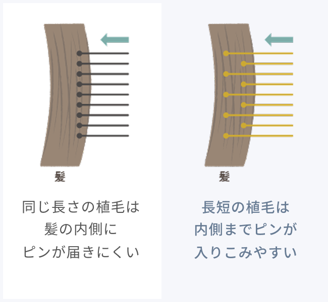 同じ長さの植毛は髪の内側にピンが届きにくい 長短の植毛は内側までピンが入りこみやすい