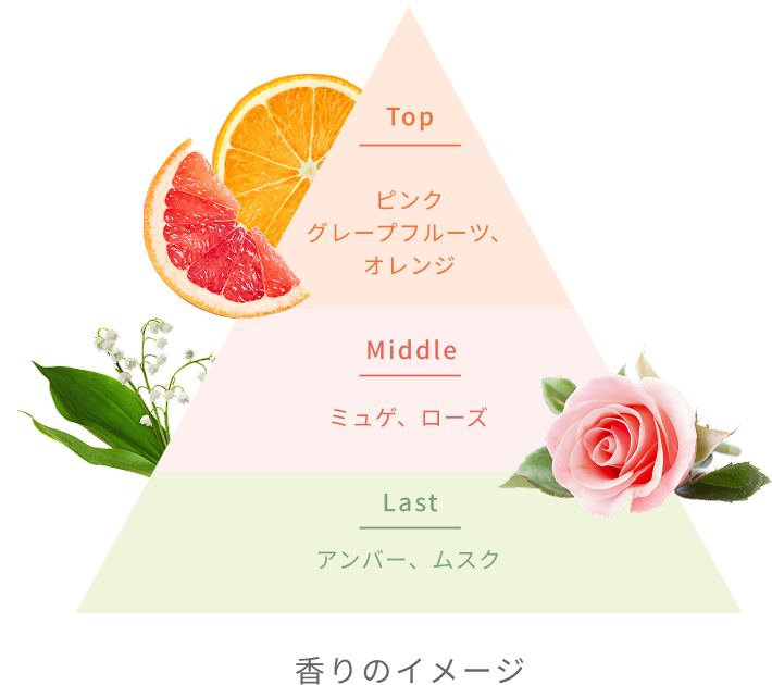 Top ピンクグレープフルーツ、オレンジ Middle ミュゲ、ローズ Last アンバー、ムスク 香りのイメージ