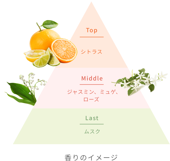 Top シトラス Middle ジャスミン、ミュゲ、ローズ Last ムスク 香りのイメージ
